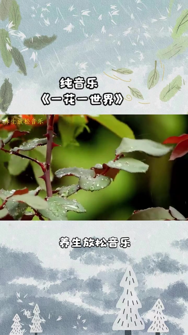 琴箫静心纯音乐《一花一世界》加长版,养心安神,疏肝解郁 风光摄影 风景摄影 手机延时摄影 
