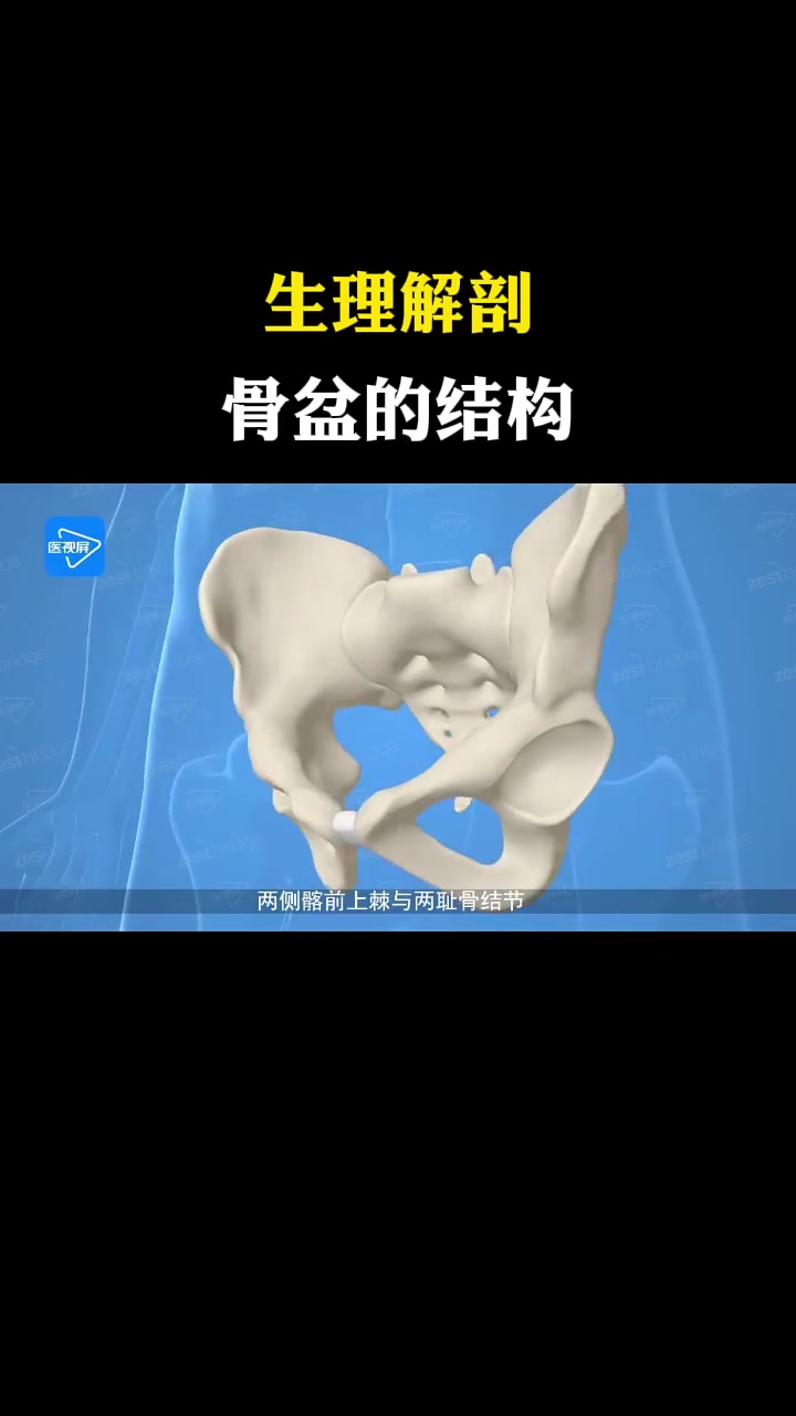 「系统解剖学」骨盆的样态和结构