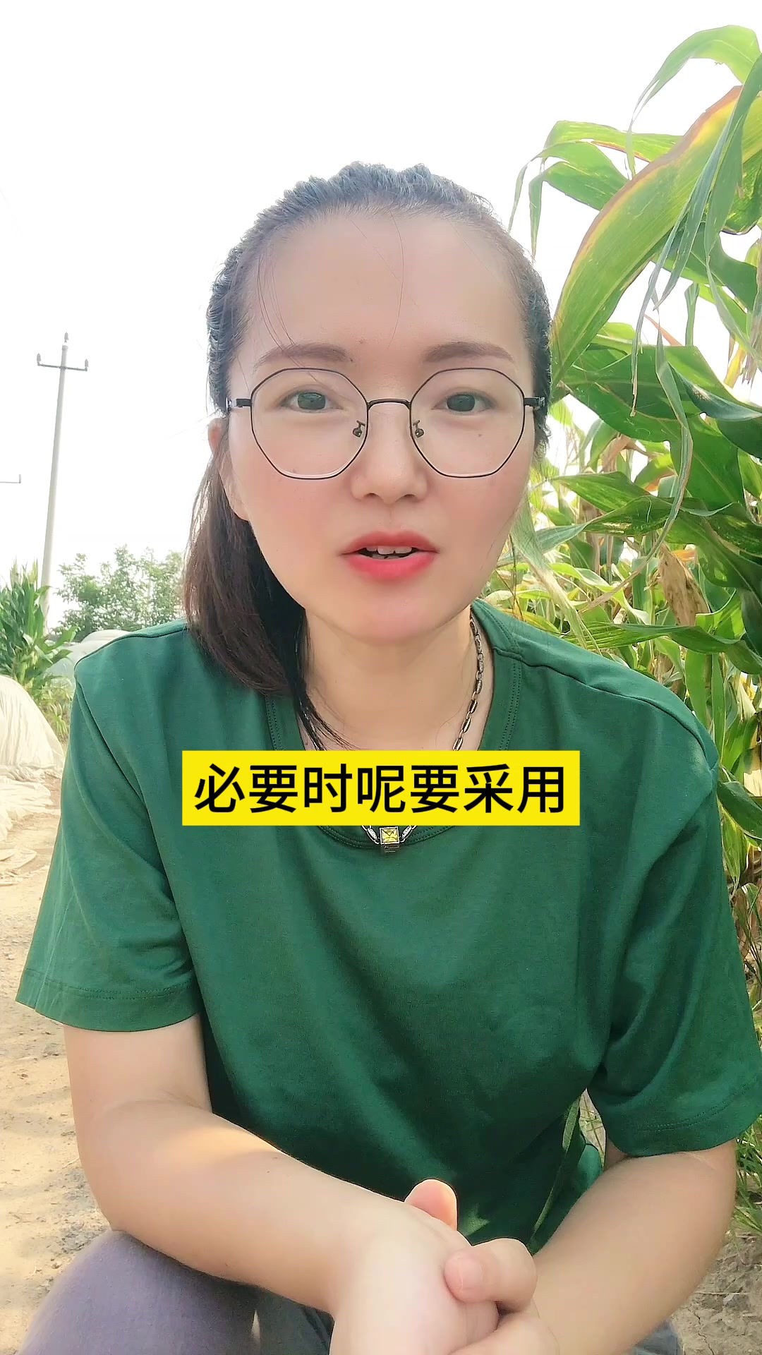 白菜病虫害 提前知道 提早预防