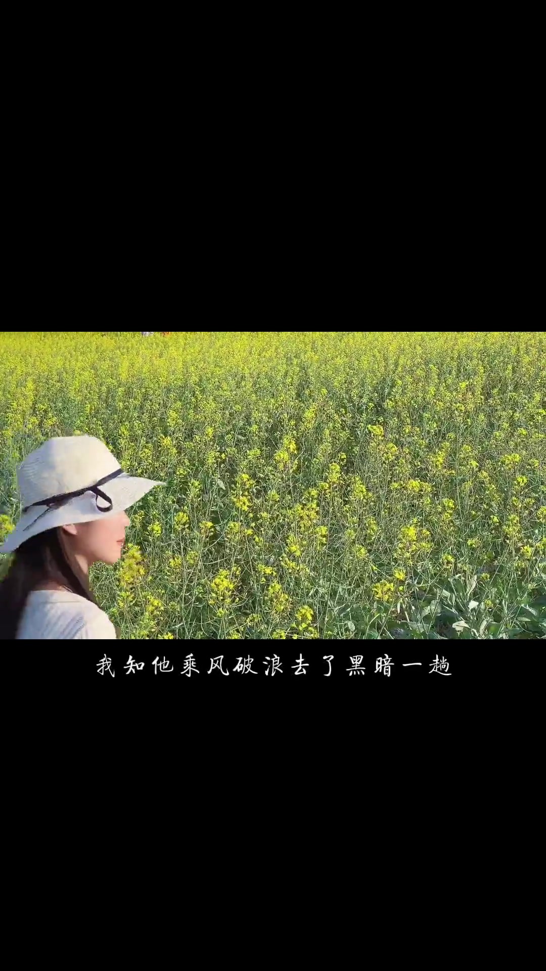 风不语花摇曳,地不语一片绿,光不语照万物,花不语蜂自来,手机摄影 早春二月的油菜花开了 油