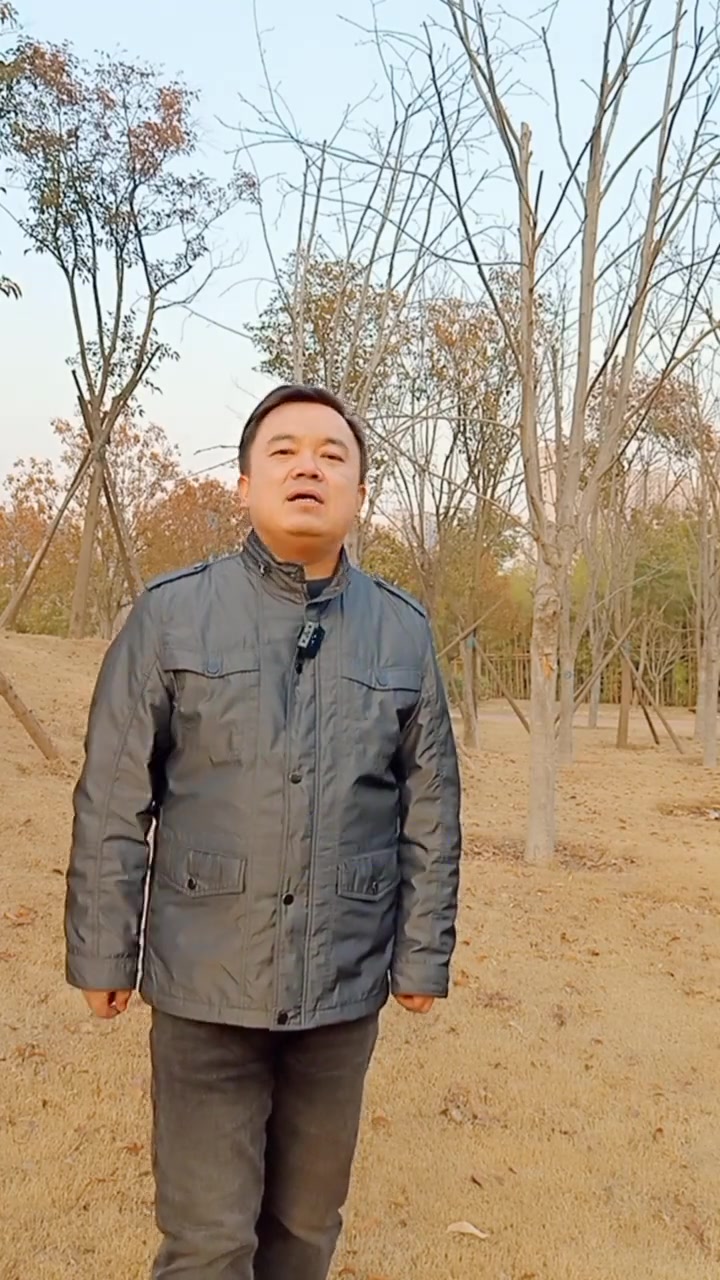 汤圆和元宵是同一种食物吗?这个视频给您答案。元宵节 孙导杂谈 汤圆 正月十五闹元宵