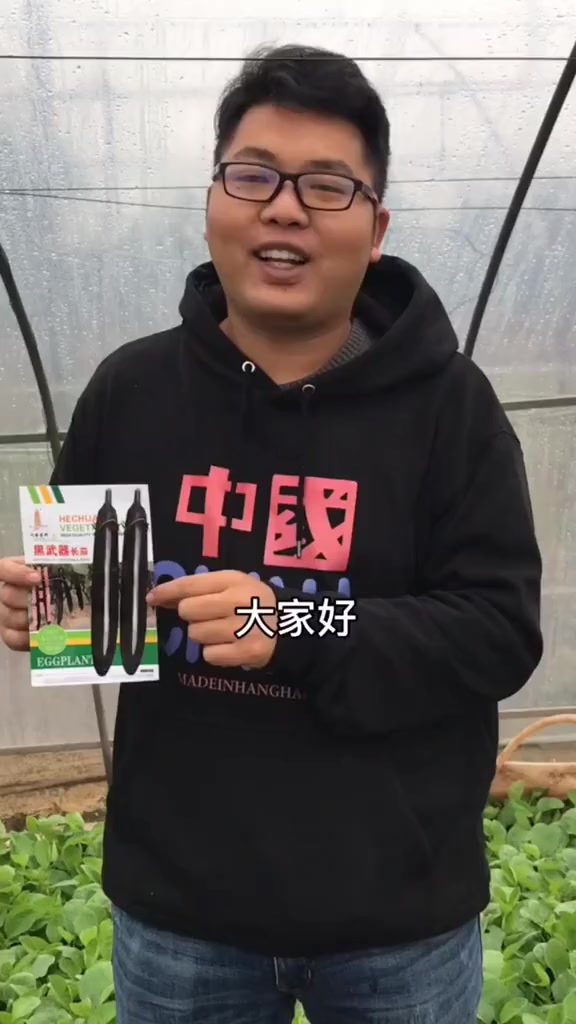 黑武器长茄子,产量高,顺直度好,采收期长!优质农产品 三农 农业种植 蔬菜种子