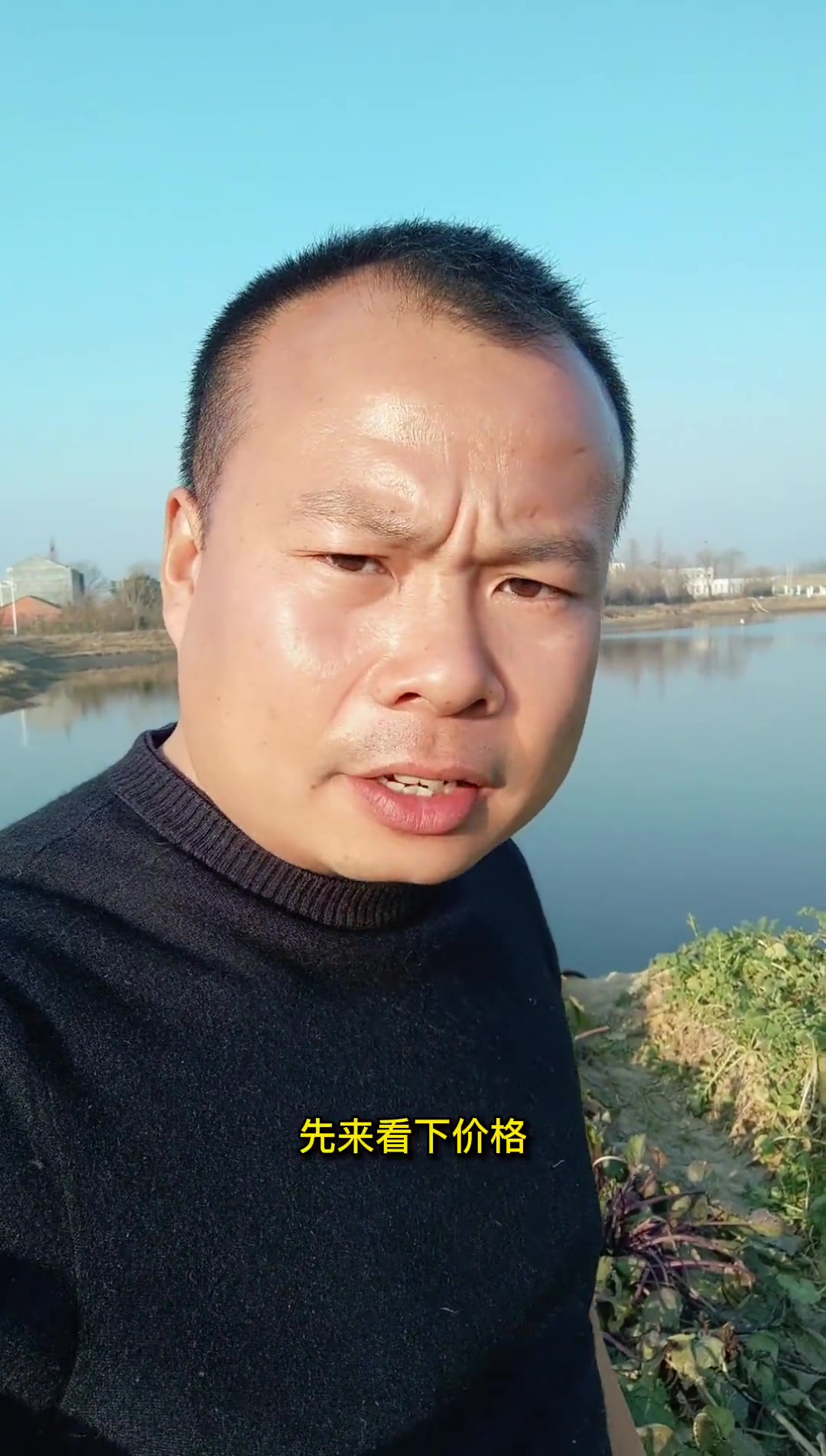 一条到一万斤都可以直接过来拉,量大可以谈 鱼苗 鱼苗批发 四大家鱼苗