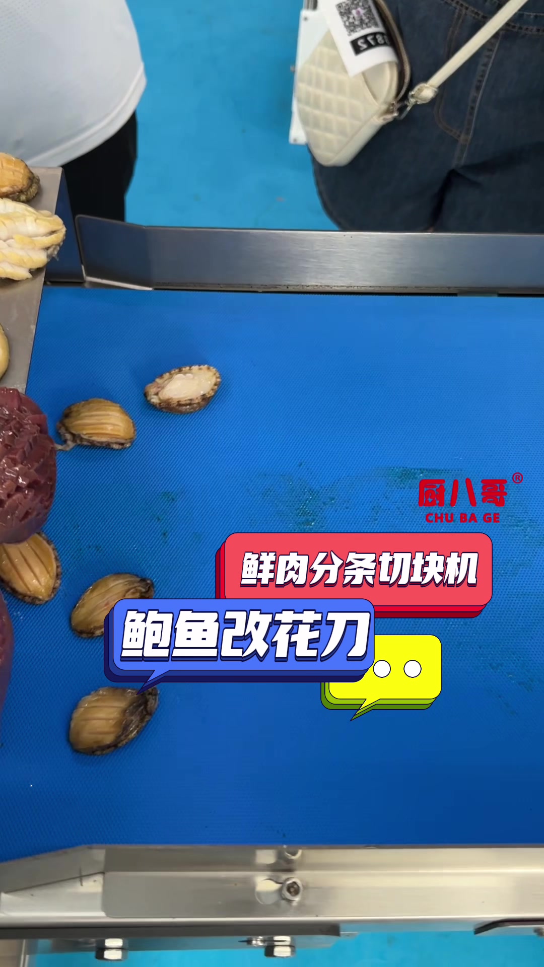 使用鲜肉分条切块机鲍鱼改花刀鲍鱼花颗粒均匀饱满花刀漂亮