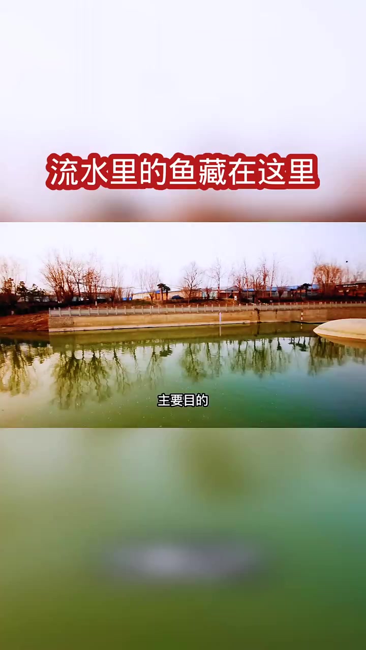 水底摄像头对钓鱼到底起到多大作用,你看看这一群鲫鱼为啥钓不到
