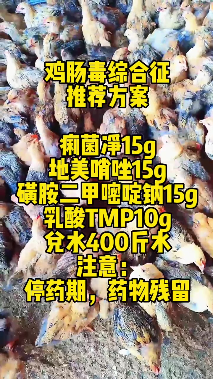 肠毒综合征的推荐方案