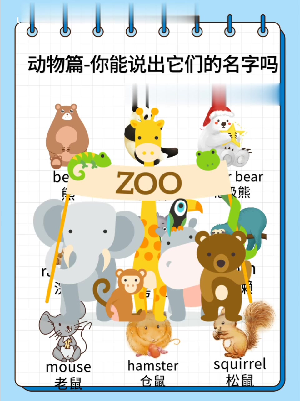 动物篇/你都能说出这些小动物的名字吗?