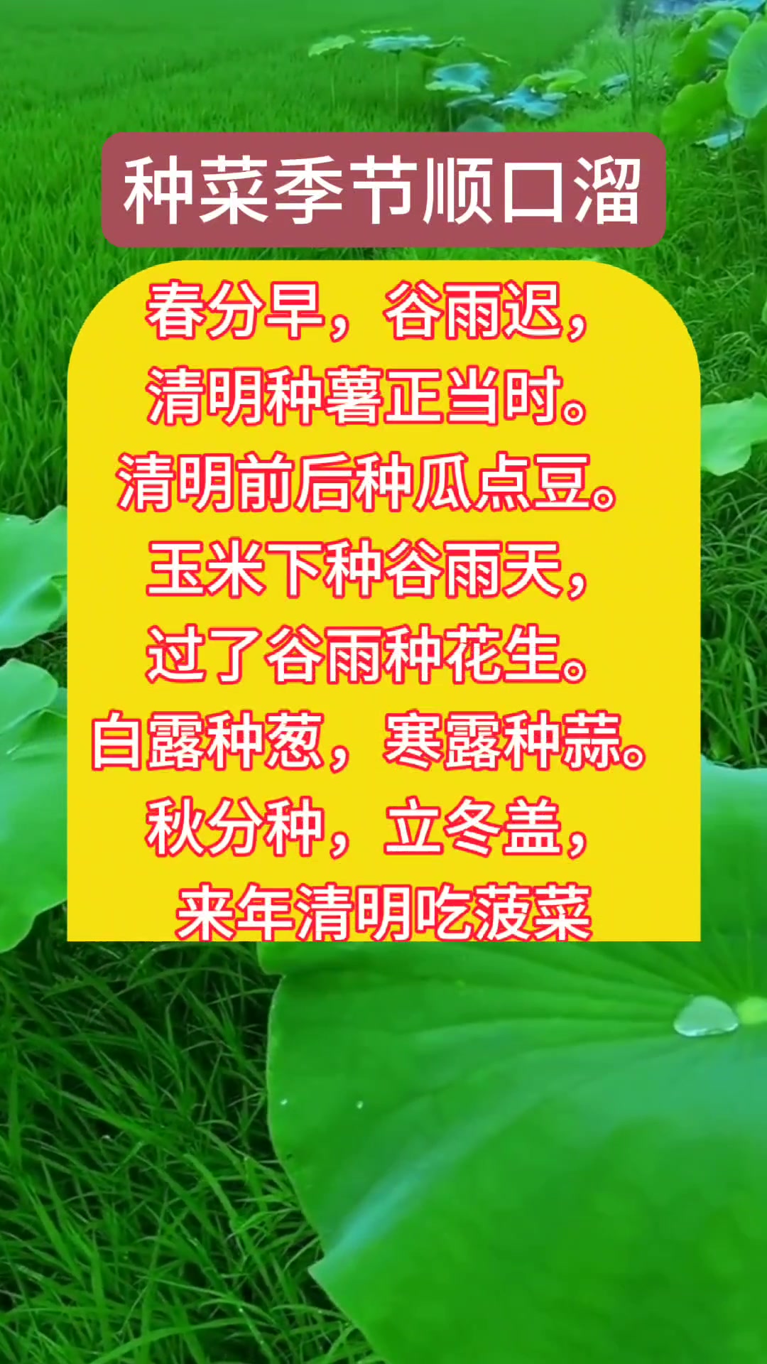 种菜季节顺口溜,可以点赞关注一下