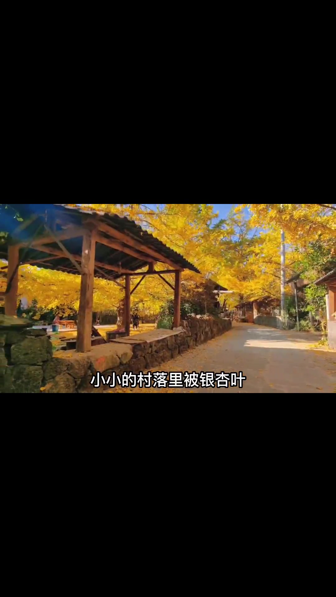 不出国,也能感受东南亚风情,这就是芒市,一个唯一用一个字命名的城市,这份六天五晚腾冲芒市旅