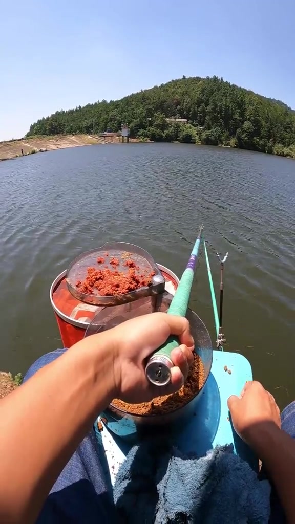 杂鱼疯狂闹窝,不妨试试这种钓法,小中取大屡试不爽 钓鱼技巧 草鱼钓法 小鱼闹窝 小杂鱼闹窝