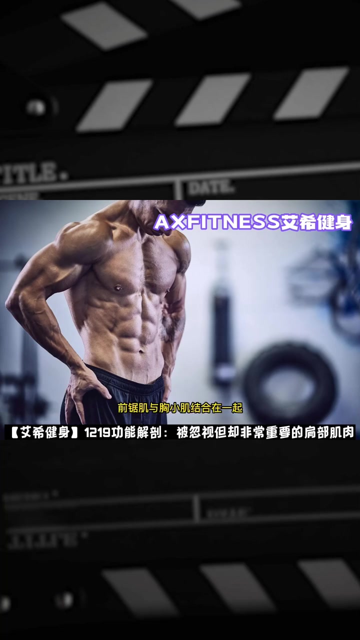 功能解剖:被忽视但却非常重要的肩部肌肉 健身教学 健身教学分享 健身教程 健身干货 功能解