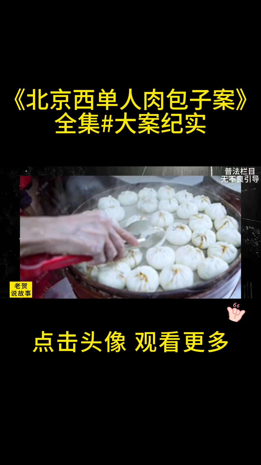 《北京西单人肉包子案》全集 大案纪实