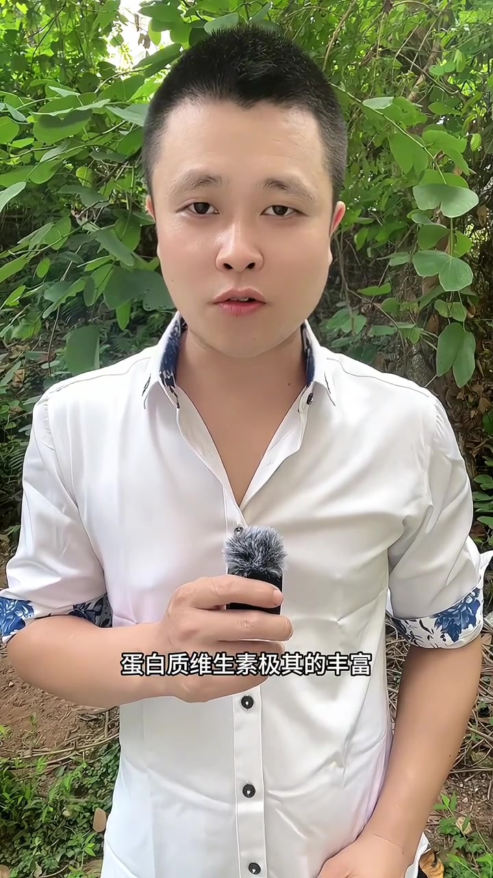 这个菜你见过吗?它叫儿菜,又叫抱子芥菜,生吃凉拌炒菜,腌制怎么做都好吃,赶紧种点尝尝吧 儿