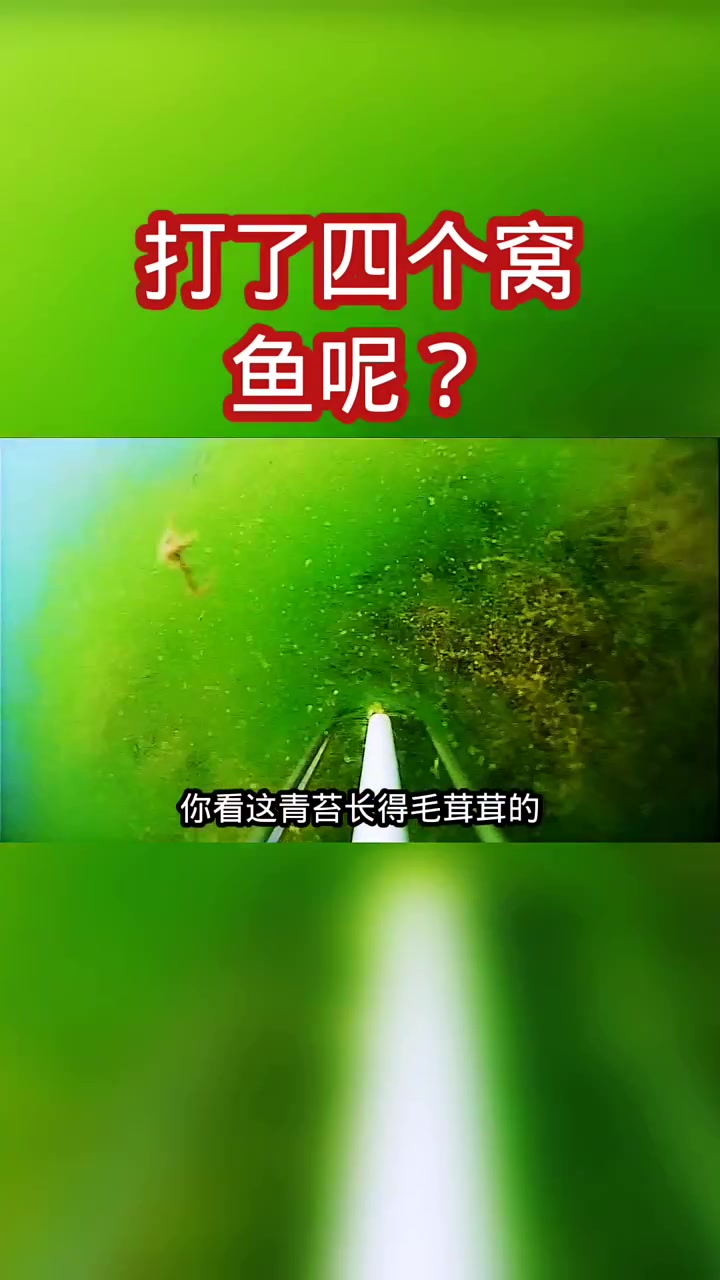 回温以后鱼还会进窝吗?鱼到底在不在水底,今天用摄像头一看便知
