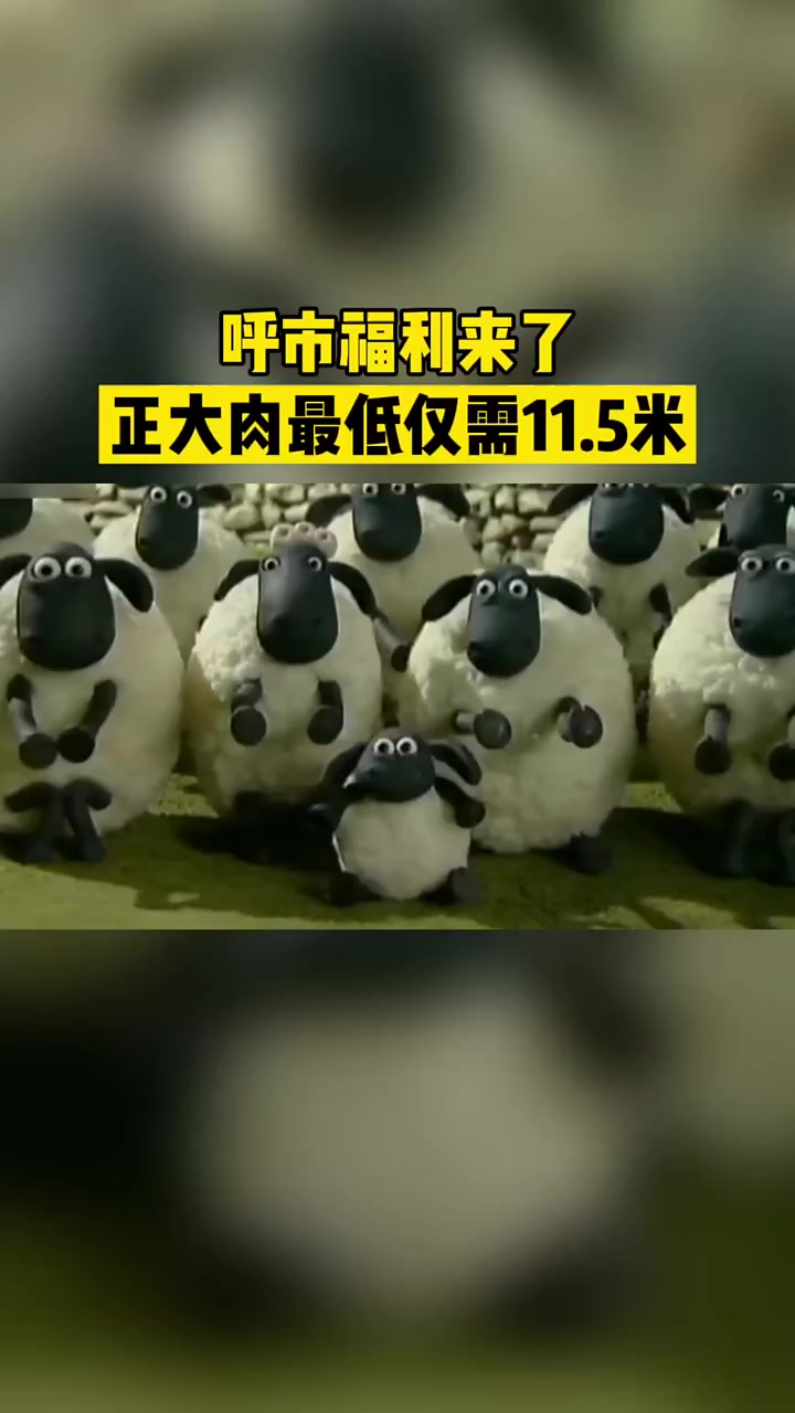 呼市福利来了,正大肉最低仅需11.5