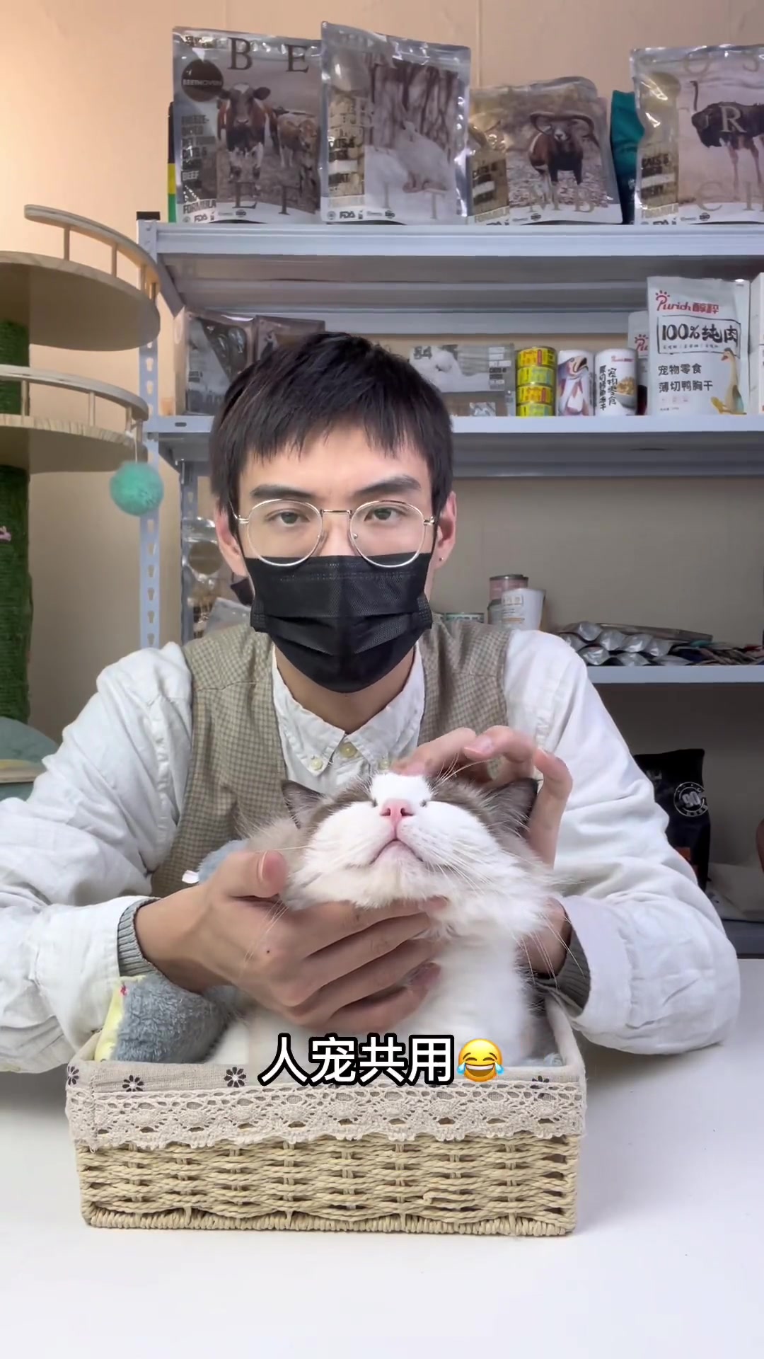 新手养猫必看的:犬猫外伤处理方法来了 手术后护理、外伤,抓伤,湿疹。全皮肤问题大解答 科学