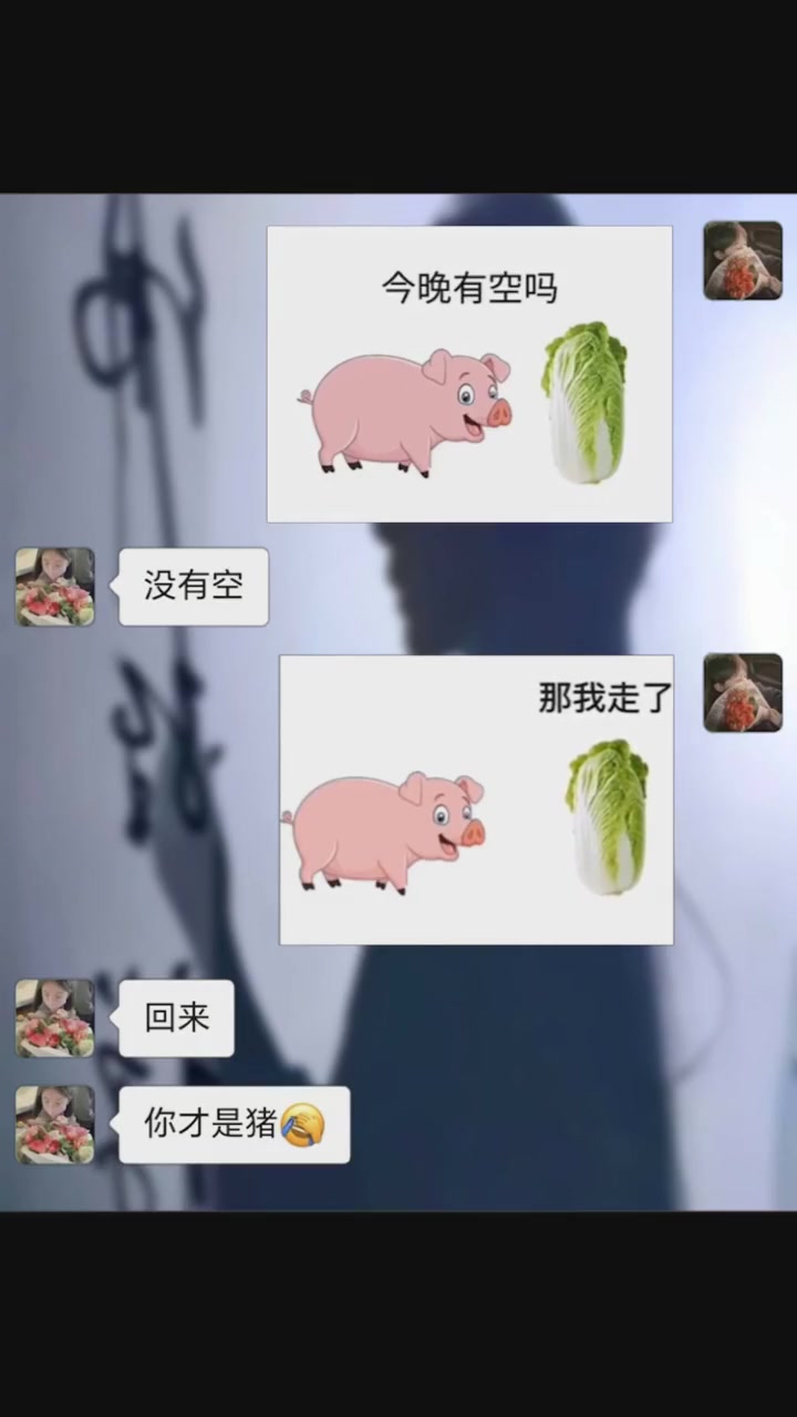 小猪拱白菜来了 每帧都是表情包 恋爱 撩妹