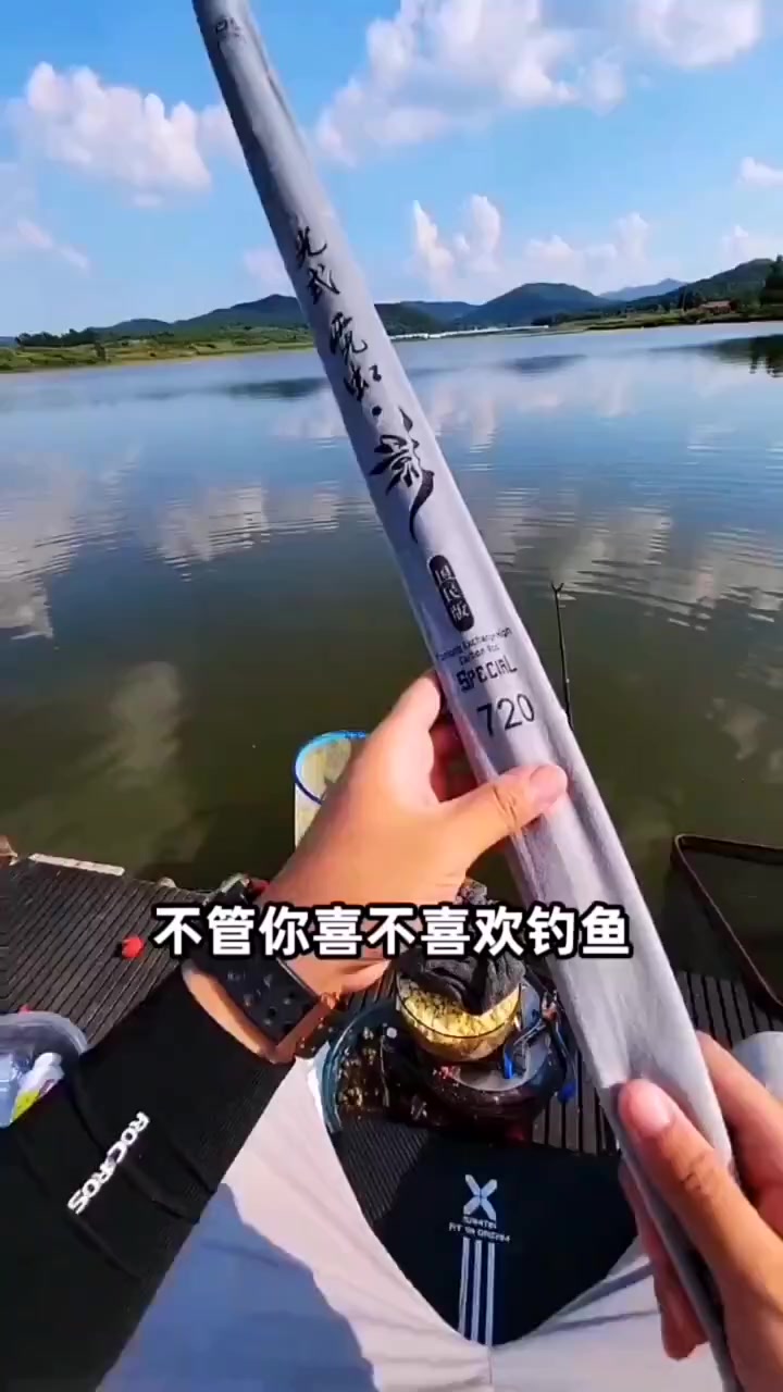 十大名牌浪尖北极星钓鱼竿手竿超轻超硬19调28鲫鲤台钓竿鱼竿套装