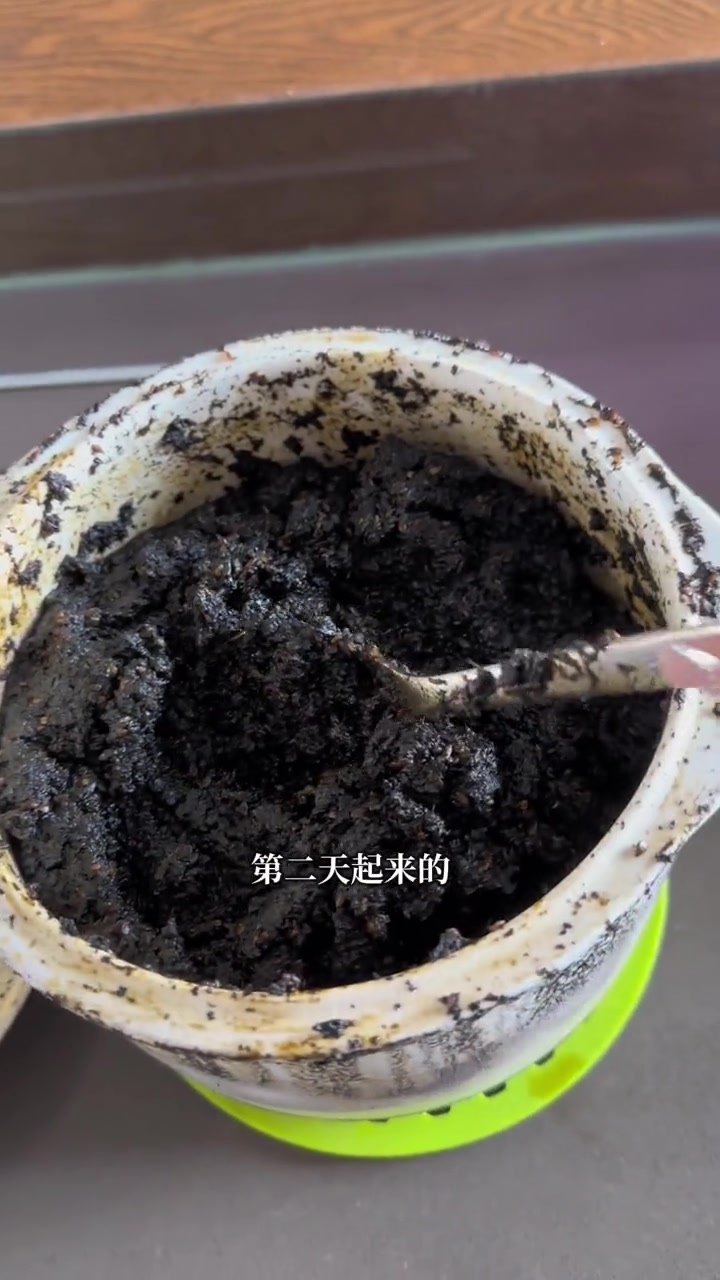 我妈妈对我可太好了大家快去做 真的好好吃 固元膏的做法 女生必看 补气养血