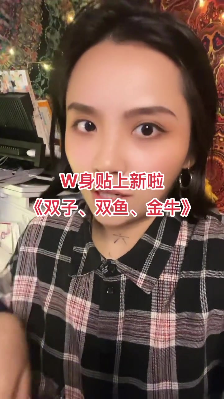 双子座 双鱼座 金牛座 纹身贴 原创 W身贴上新啦