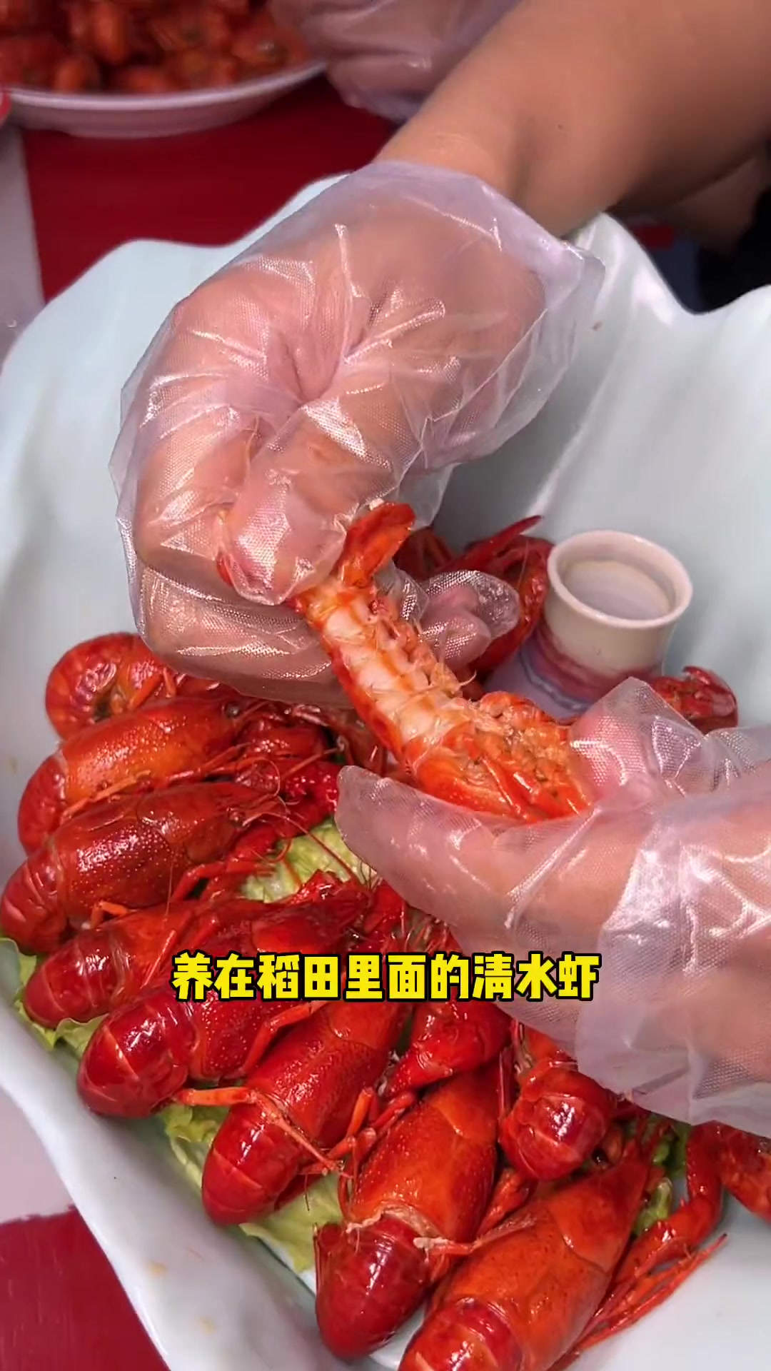 胖哥卤虾59.9两斤卤虾两个凉菜,黄州人自己的龙虾品牌必须支持!心动五一 美食推荐 卤虾 
