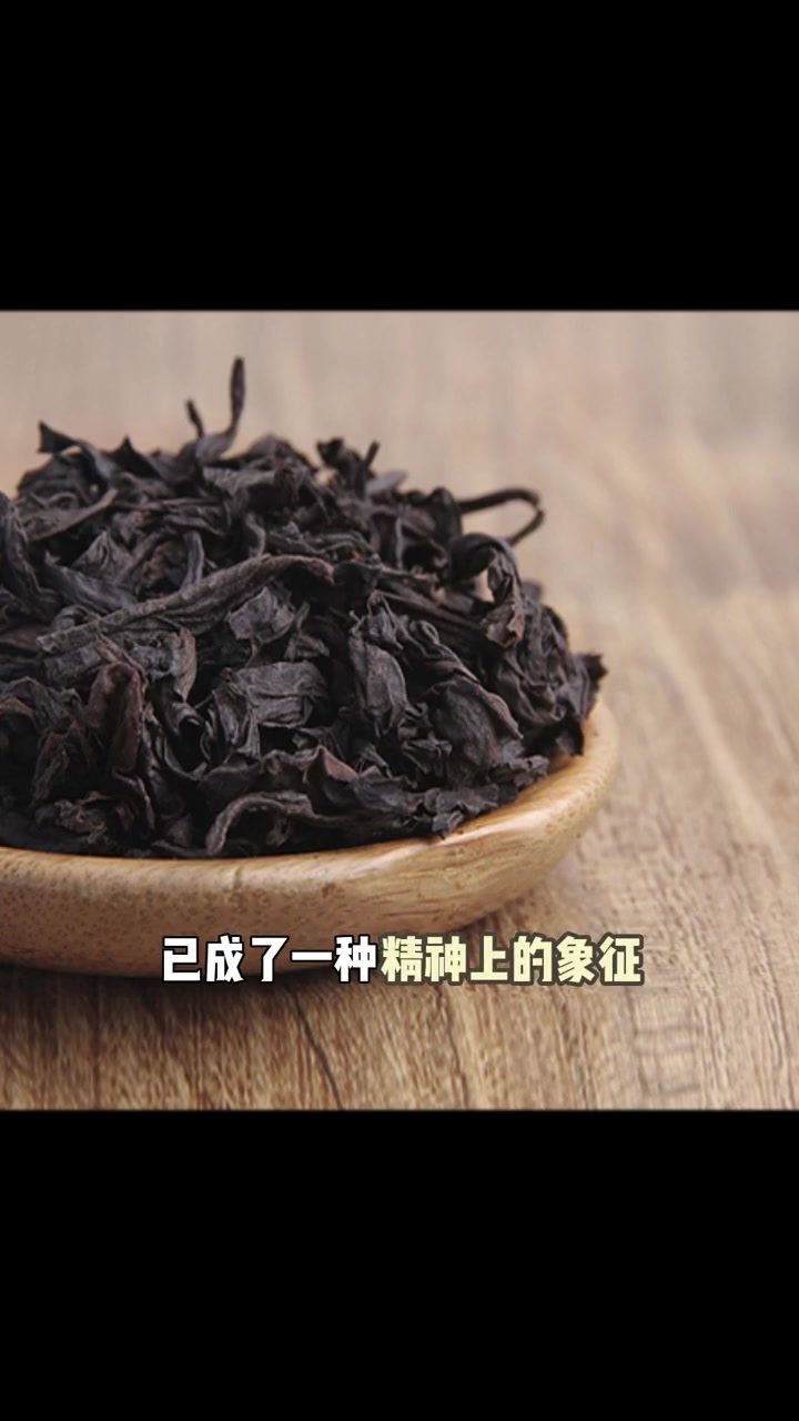 究竟谁才是真正的大红袍?肉桂和大红袍究竟有什么区别!第二期 武夷岩茶 召唤茶友 肉桂