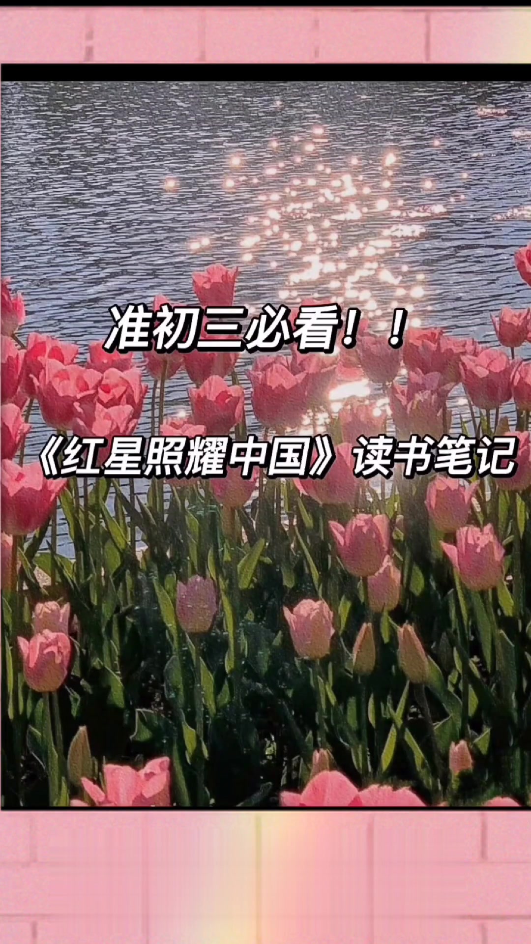《红星照耀中国》读书笔记|初二名著