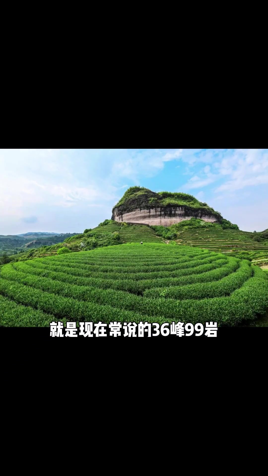 享誉茶中皇子的正岩茶 天价茶究竟有什么魅力 一条视频讲清楚到底什么是“核心正岩茶” 武夷岩