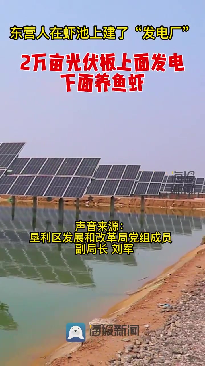 生态观丨东营人在虾池上建了个“发电厂”:上面发电、下面养鱼虾
