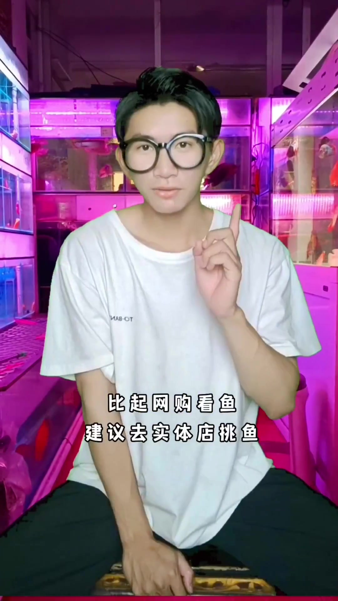 鱼界水中仙子蝴蝶鲤,你养活过吗 蝴蝶鲤 养鱼日记 水族 观赏鱼 台湾蝴蝶鲤
