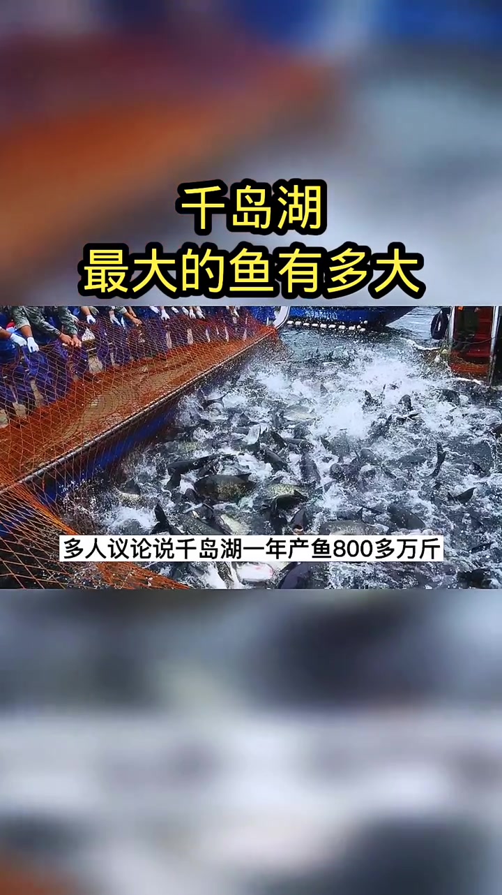浙江千岛湖蓄水量相当于3000多个西湖的蓄水量,湖里最大的鱼多大