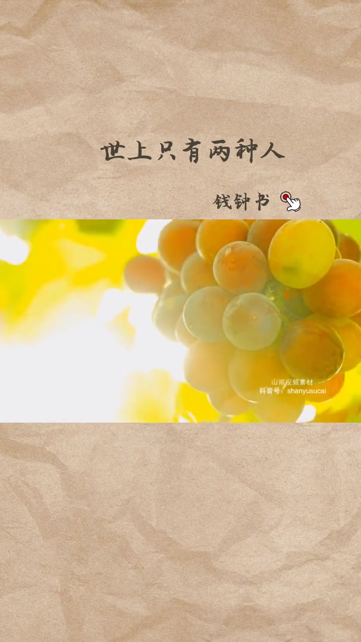 经典语录 原创 生活感悟 静心看世界 世上只有两种人