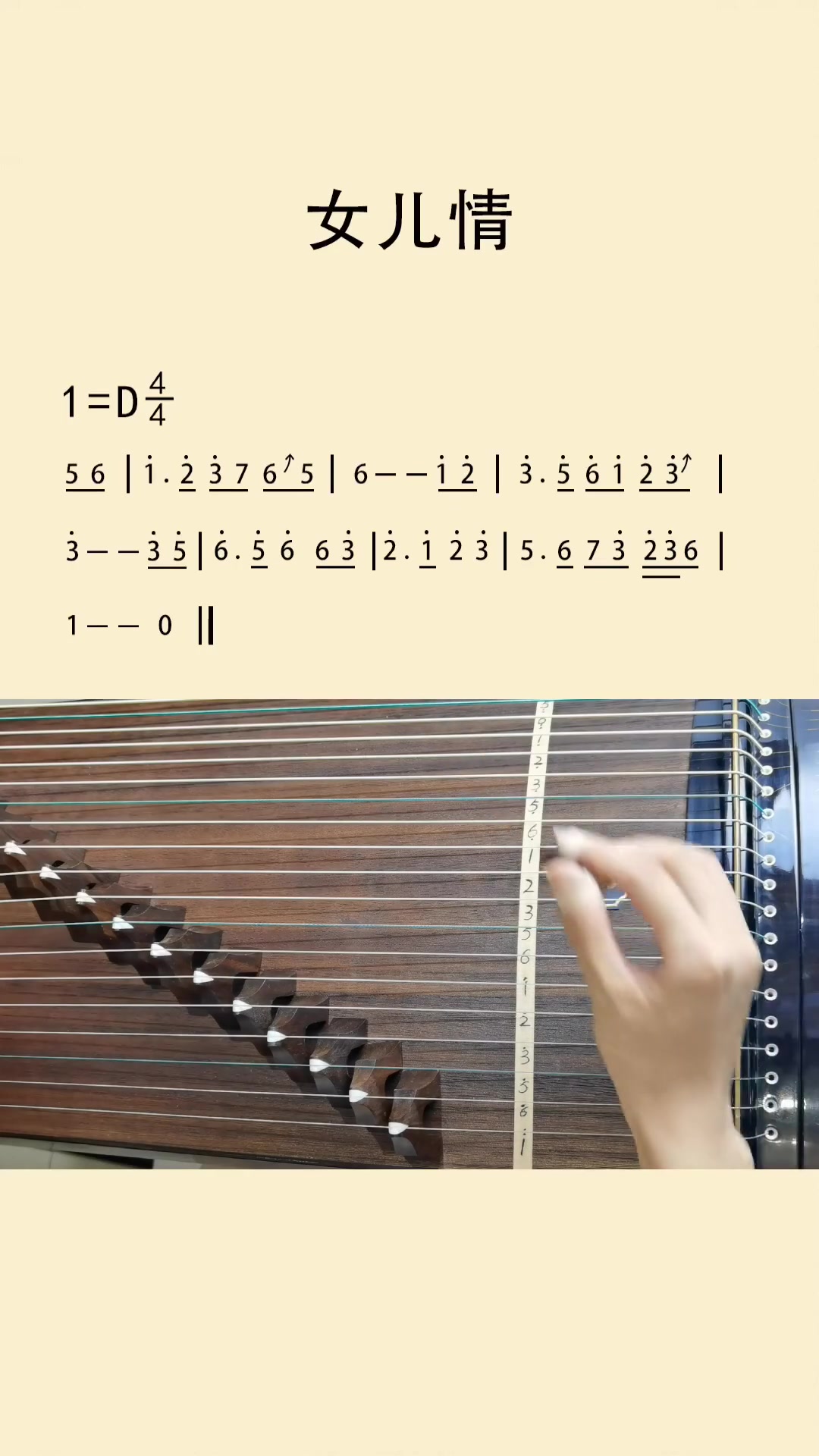 苏老师一分钟带你学古筝经典曲目“女儿情”