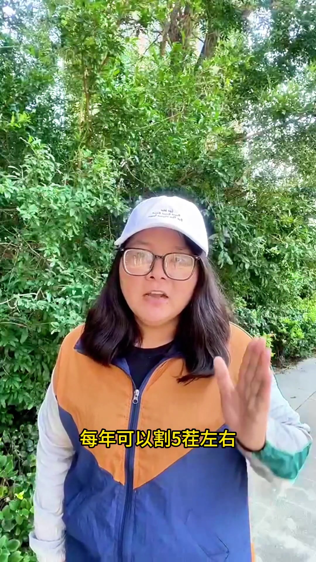 韭菜的种植技术 学会了你也能成为种植高手