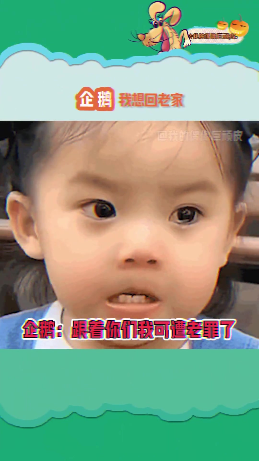 企鹅:你们去过南极没有?!素材cr