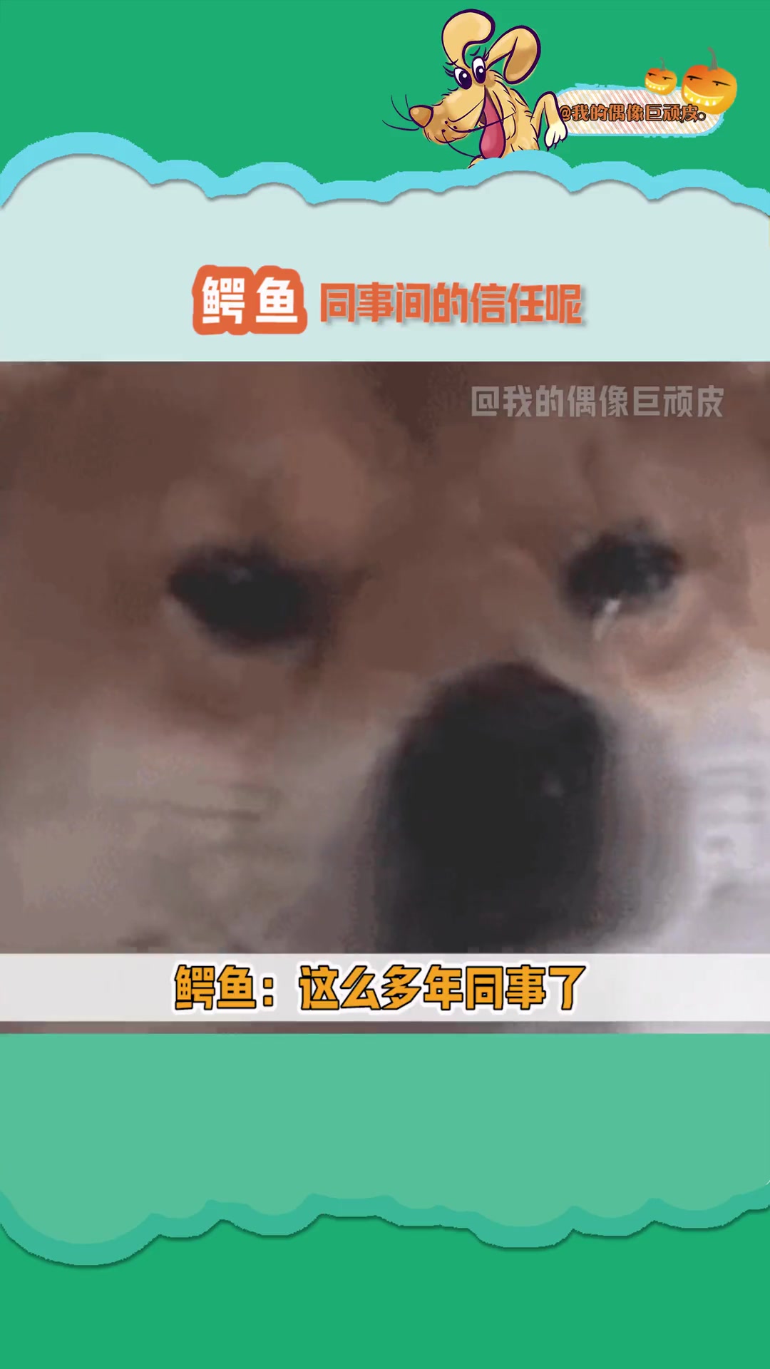 鳄鱼:你们几个真玩,就和我是假玩是吧 搞笑