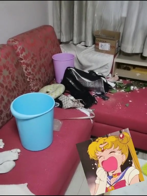 遇事不要慌,拿起手机,炖狗肉评论区告诉我,怎么顿才好吃!狗狗的日常 狗