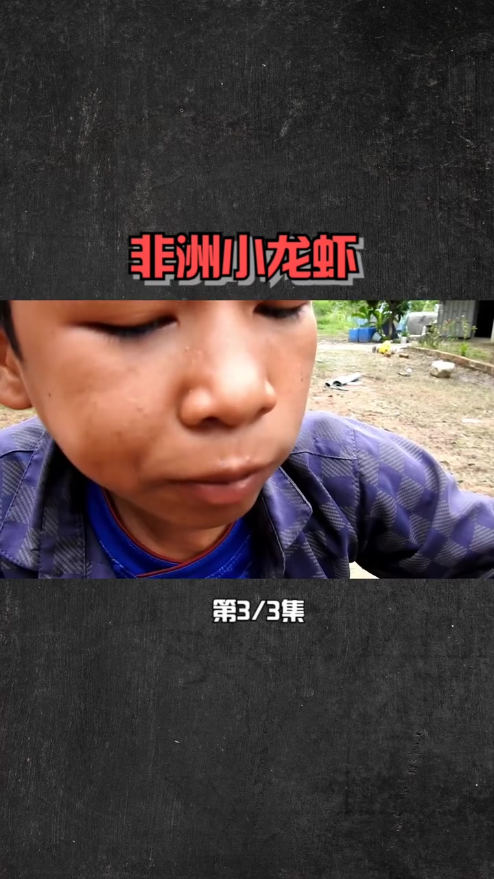 「3」大雨过后非洲黑色小龙虾,全部跑了出来,处理不好全村吃席。非洲生活 美食 小龙虾