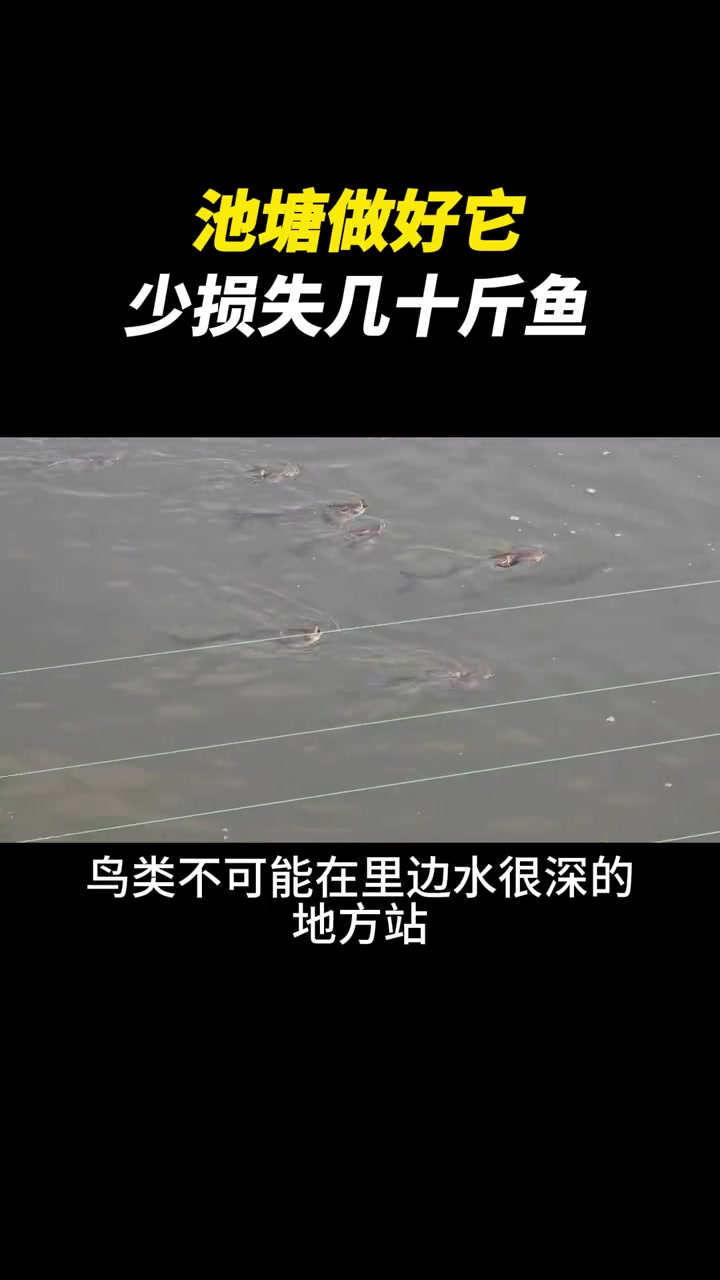 养殖设施|鱼塘做好它,少损失几十斤鱼