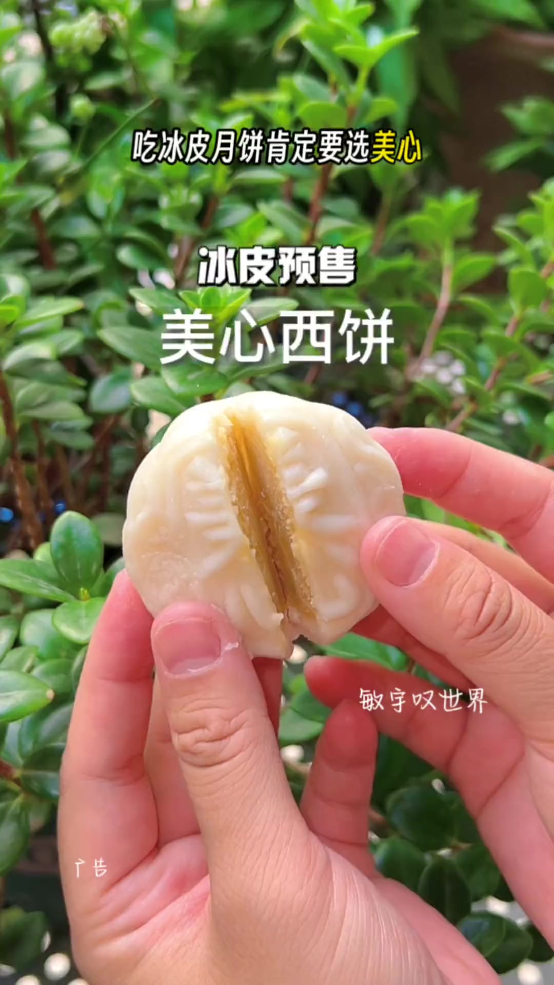 郭富城代言的美心西饼!冰皮月饼也有团购啦!139就有三盒!竟然榴莲口味!真的太爱啦!赶紧左