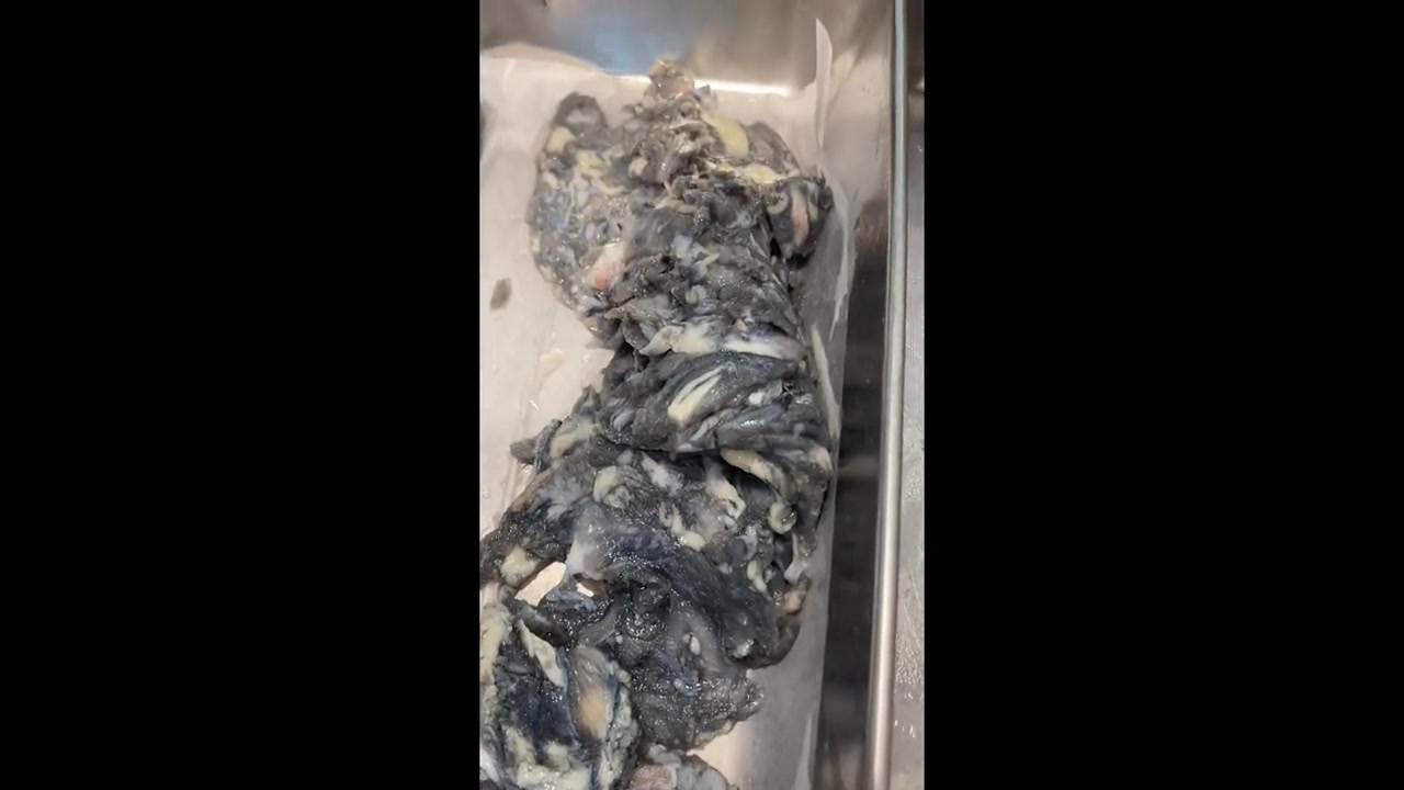 在滑县汉丽轩自助餐厅49.9海鲜烧烤让你吃到撑