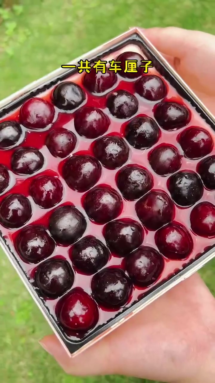 终于吃到最近超火的提拉米苏蛋糕了!