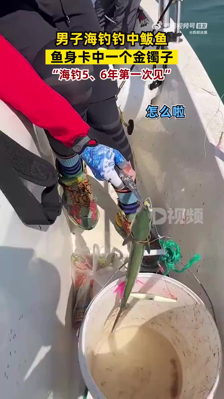 「男子钓中1条鲅鱼身上卡着金镯子:野钓5、6年第一次见」钓鱼佬的乐趣有哪些?8月30日,山
