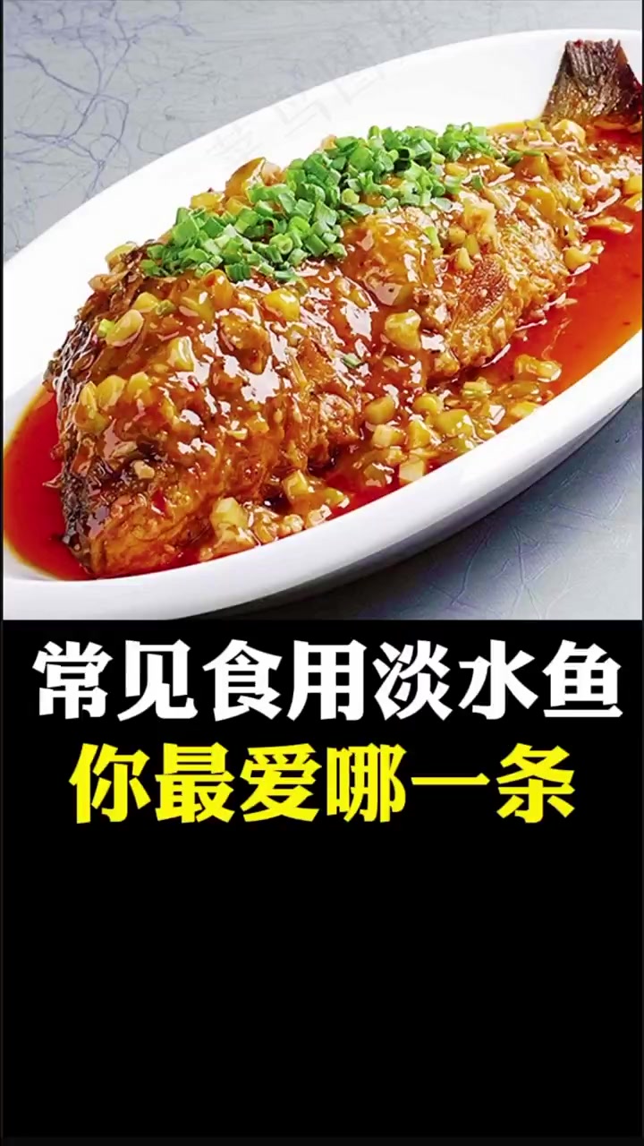 常见食用淡水鱼你最喜欢哪一条?