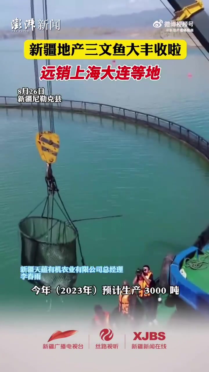 「新疆产三文鱼大丰收:新疆三文鱼销往上海大连等地」据 报道:新疆地处亚欧大陆内陆,被称作“