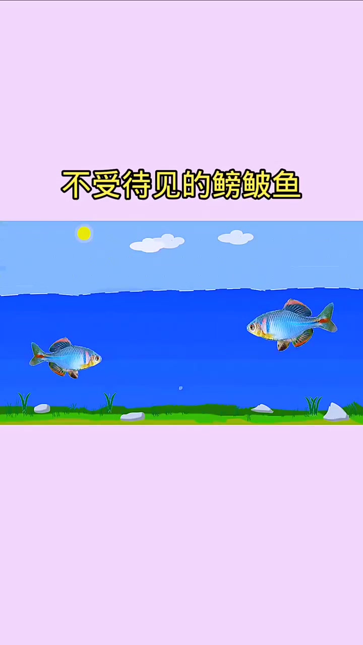 鳑鲏