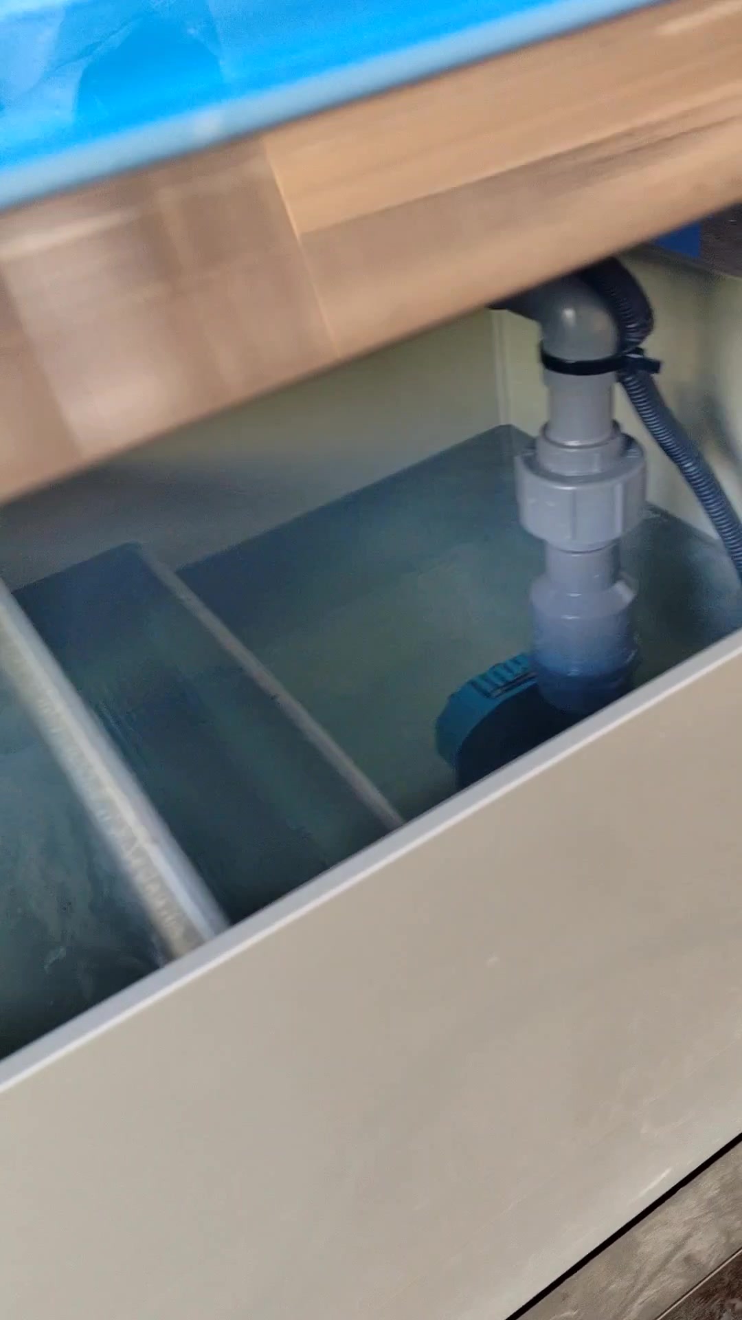 移动海鲜池生产厂家-超市海鲜池-海鲜池制作,鱼缸,海鲜缸,鱼池