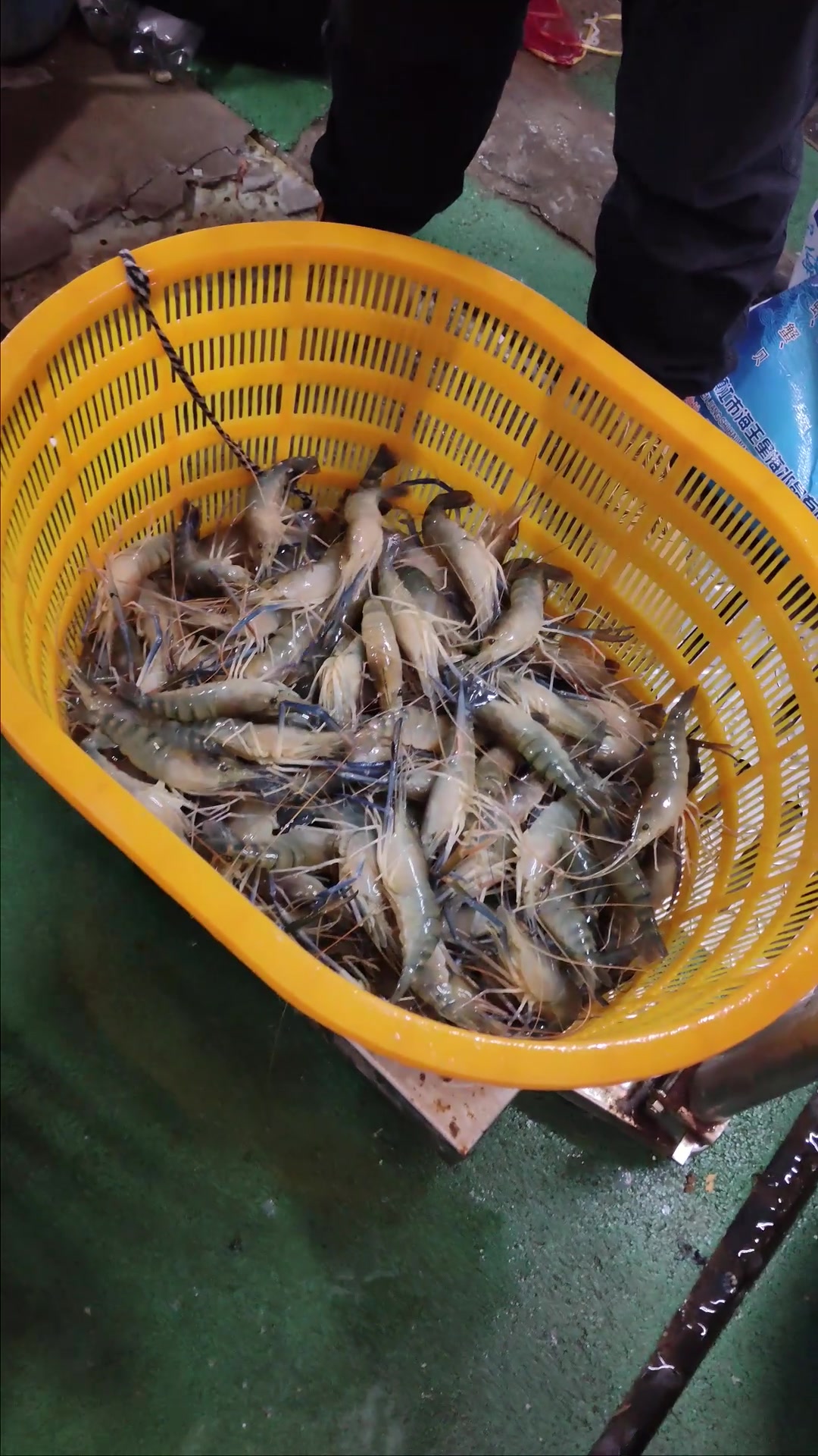 坚持每天5/6点采购新鲜的原料和优质的食材