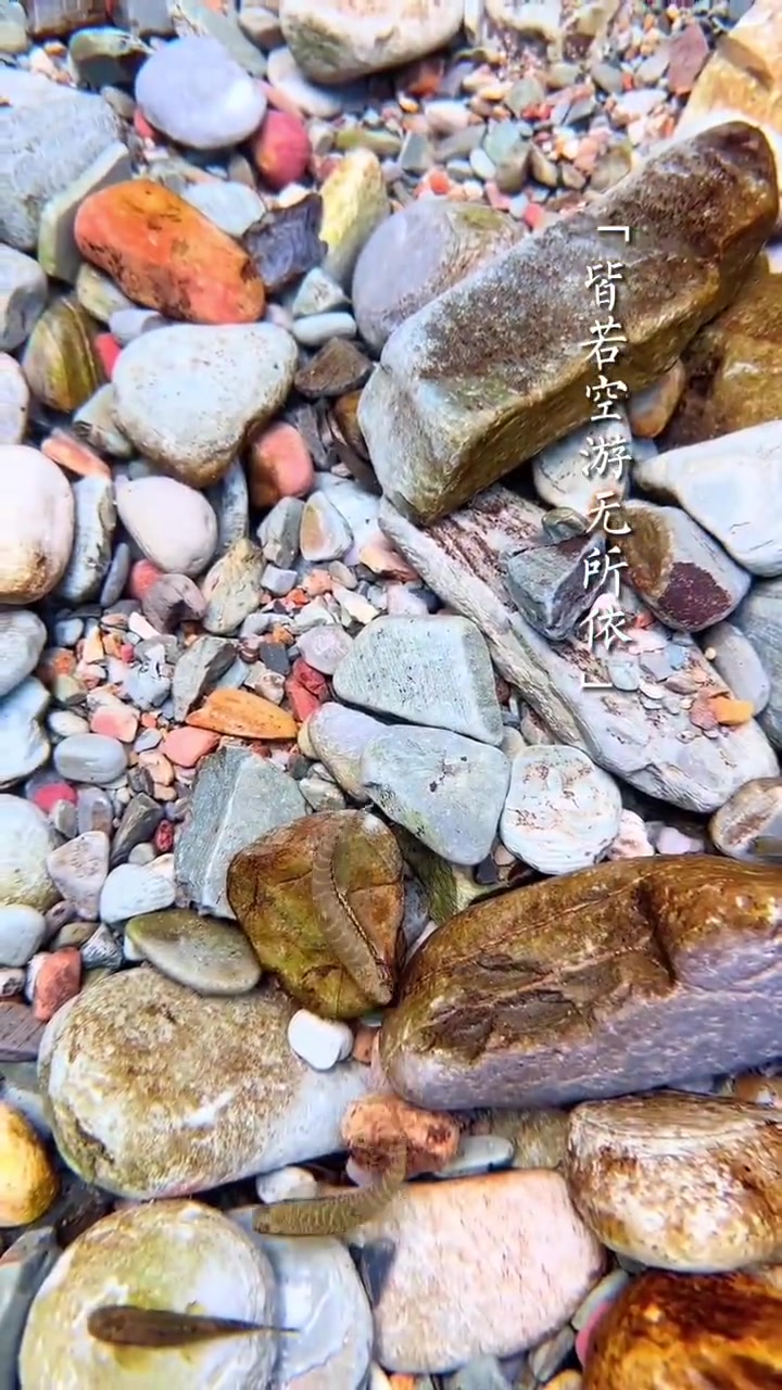 「古人诚不欺我!原来语文课本里的小石潭记是真的」“潭中鱼可百许头,皆若空游无所依,日光下澈