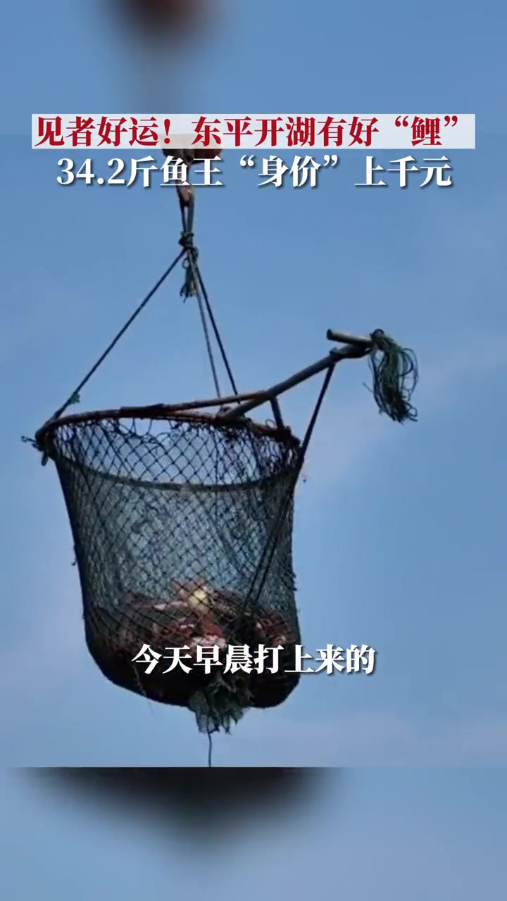 9月1日,山东泰安,东平湖开湖,渔民满载而归,评选出34.2斤“鲤鱼王”,身价高达千元。开